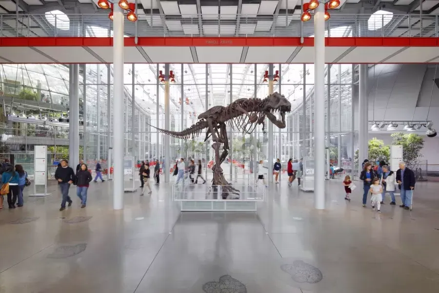 Dinosaurio en la 加州科学院